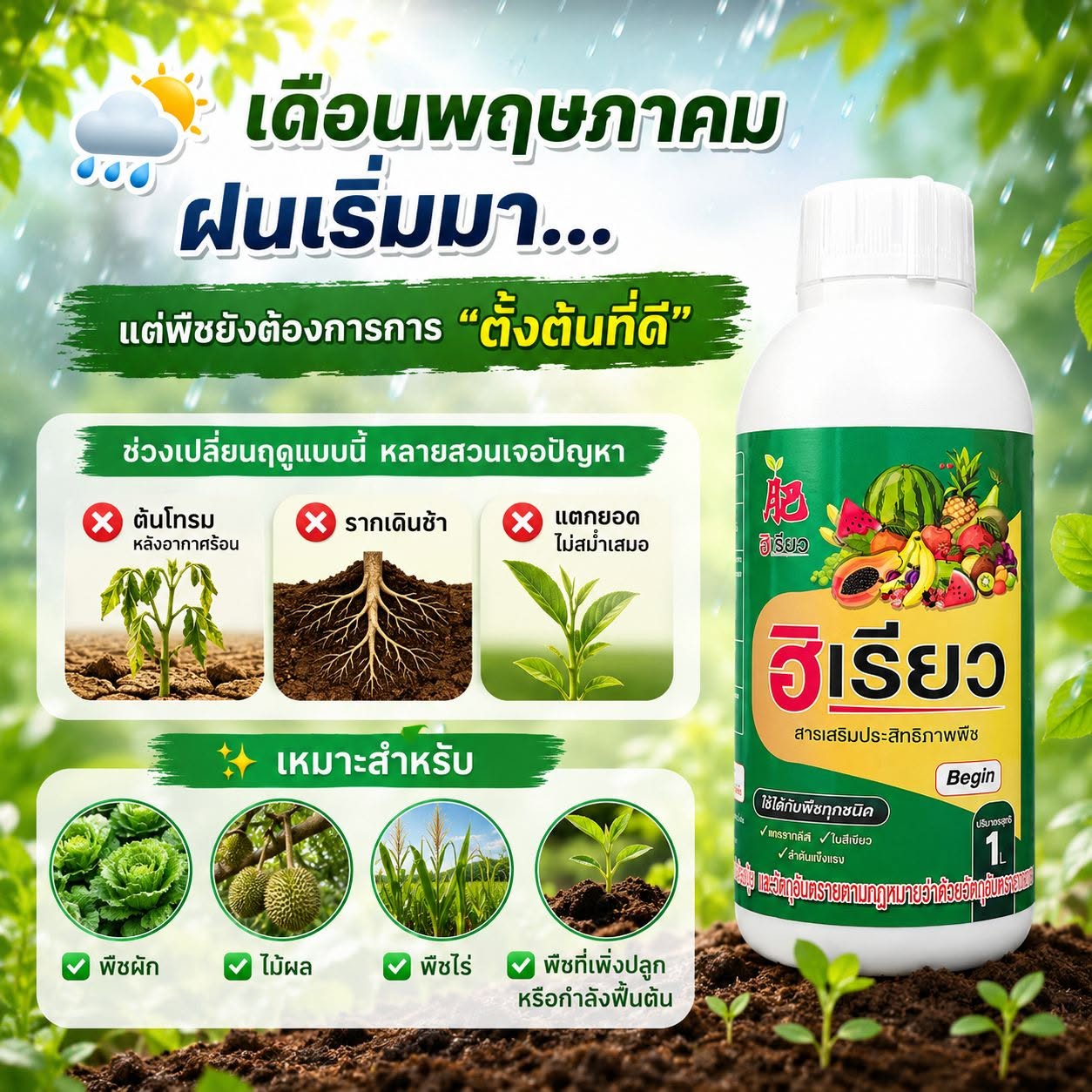 เดือนพฤษภาคม ฝนเริ่มมา