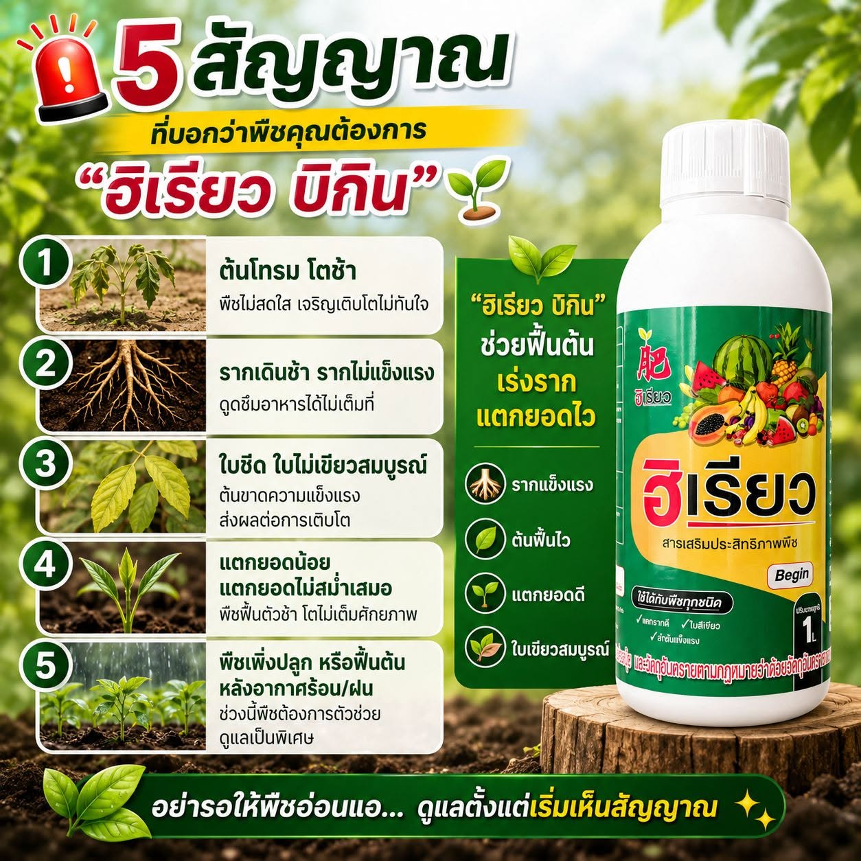 5 สัญญาณ ฮิเรียว บิกิน