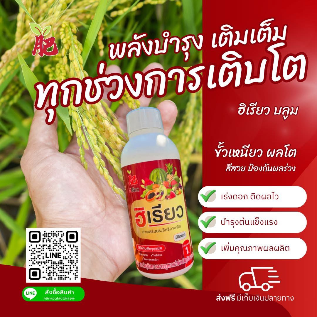 ฮิเรียว บลูม