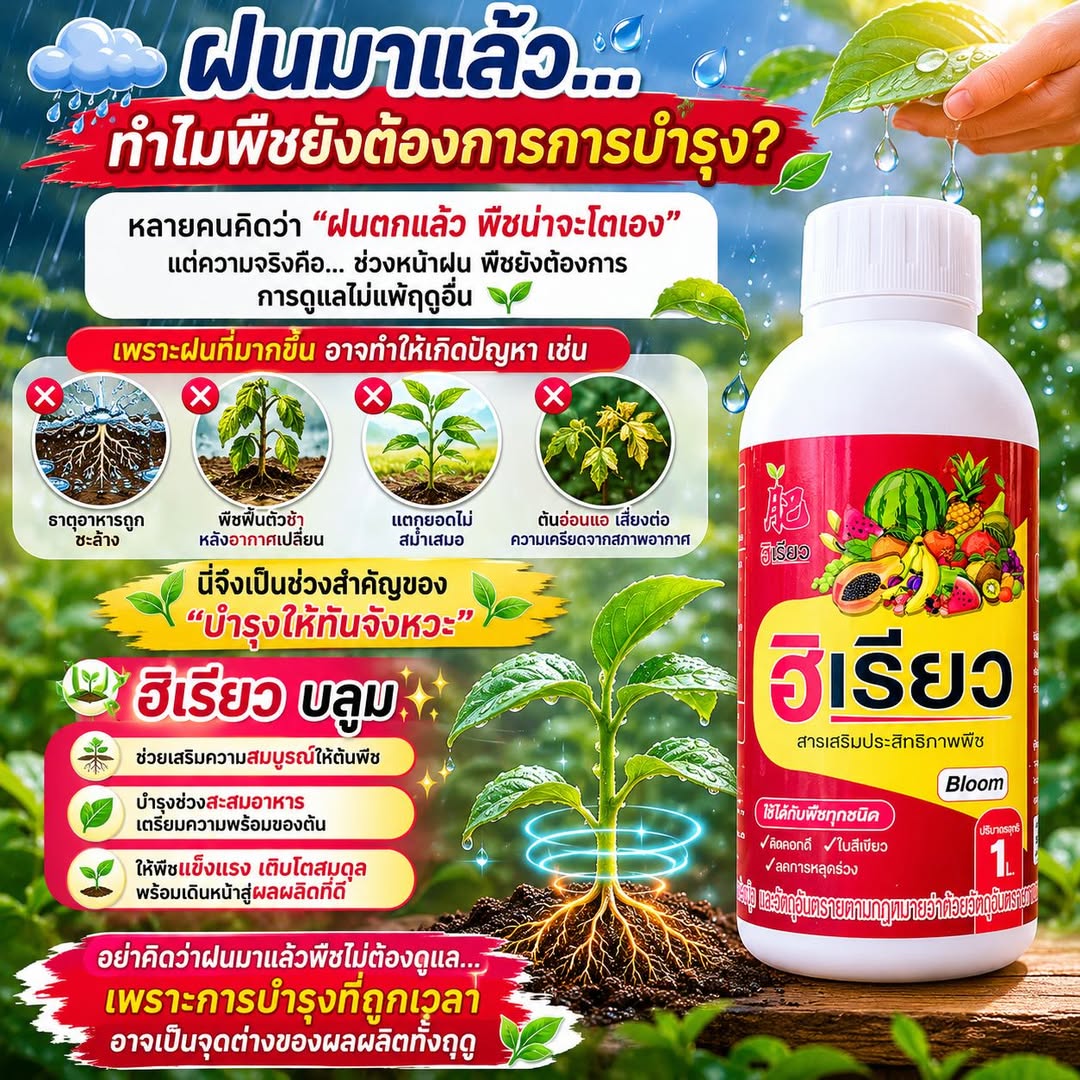 ฮิเรียว บลูม เร่งดอก ติดผล
