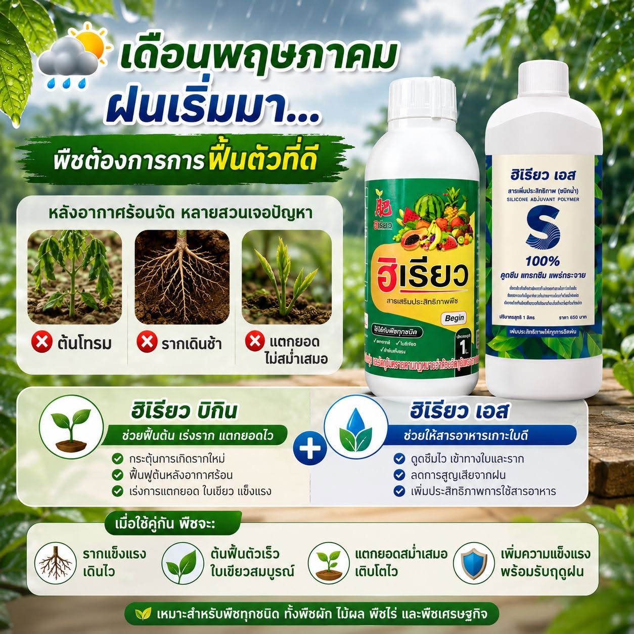 ฮิเรียว บิกิน และ เอส
