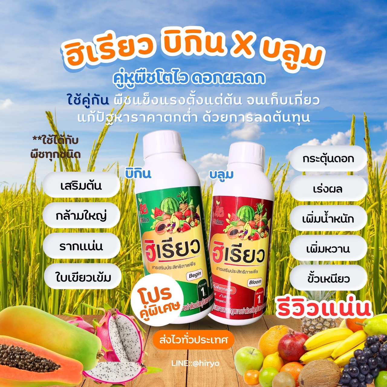 ฮิเรียว บิกิน คู่กับ บลูม