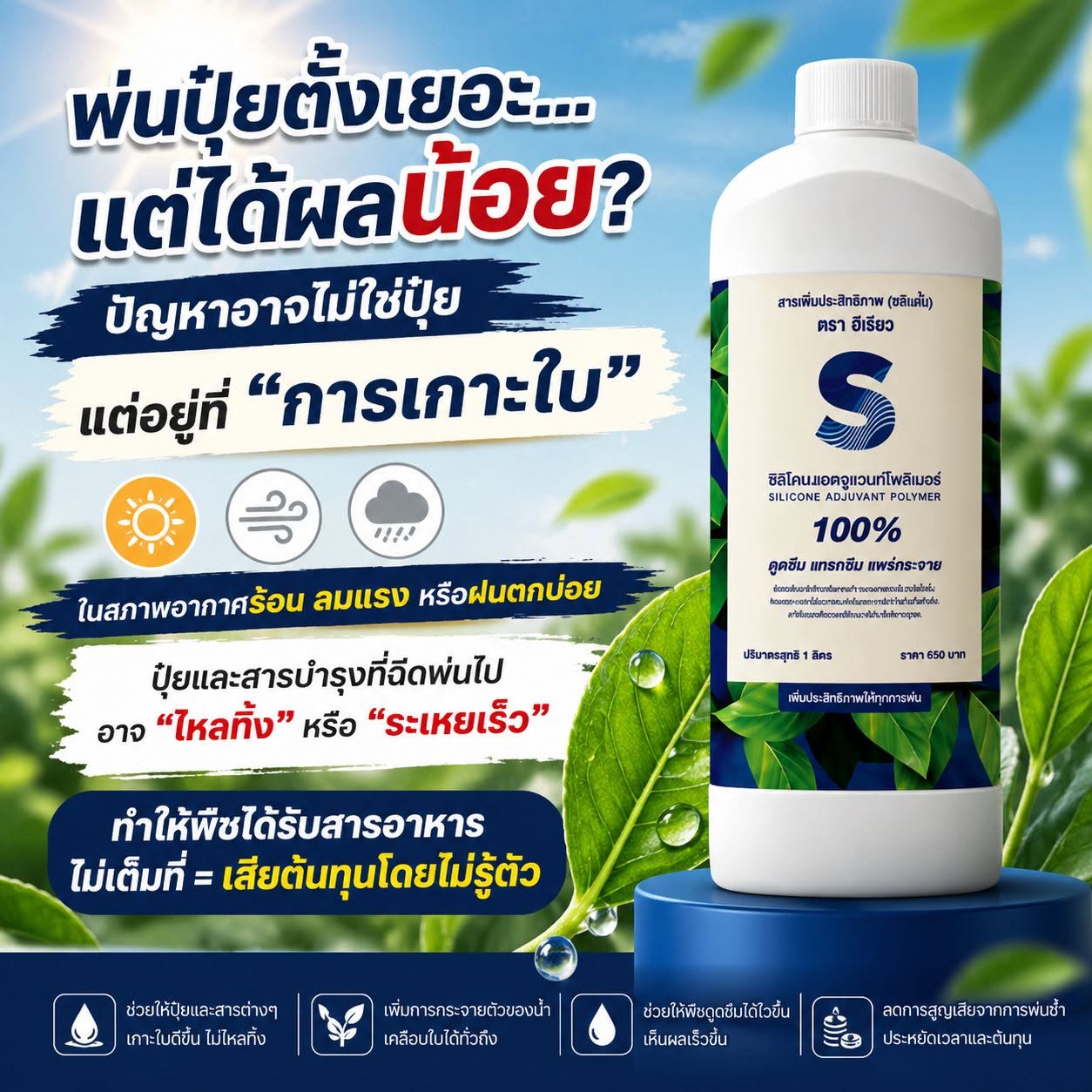 ฮิเรียว เอส ซิลิโคน 100%