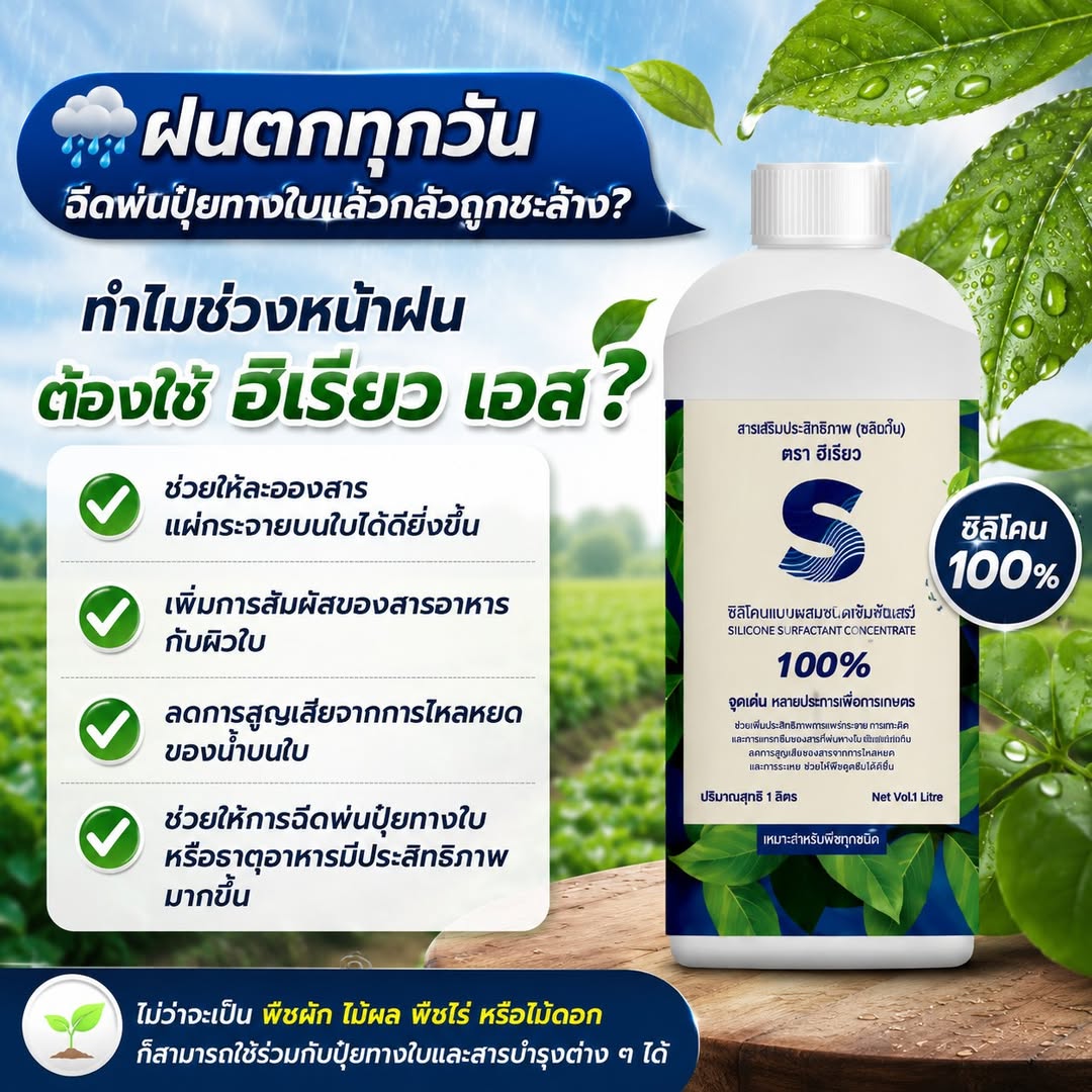 ฮิเรียว เอส สารจับใบซิลิโคน 100%
